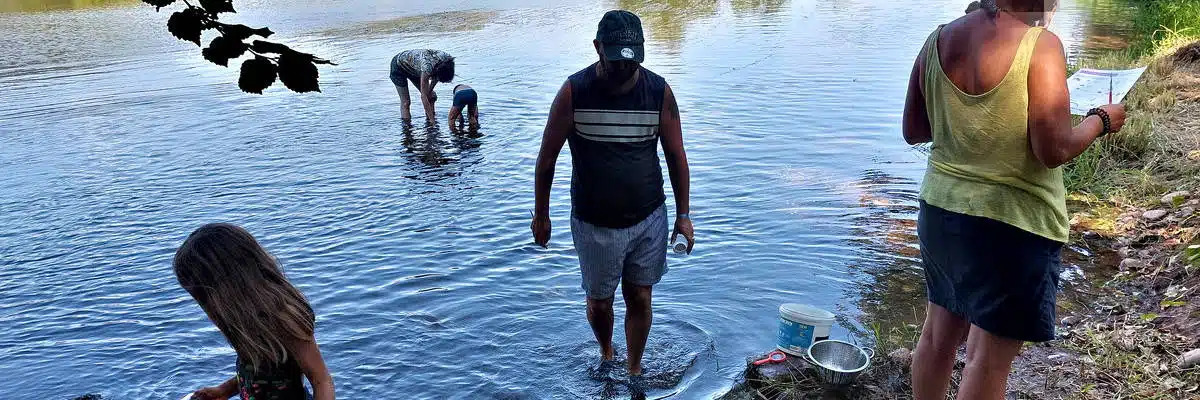 Les petites bêtes du Mont Saint-Cyr avec les chemins de Colin