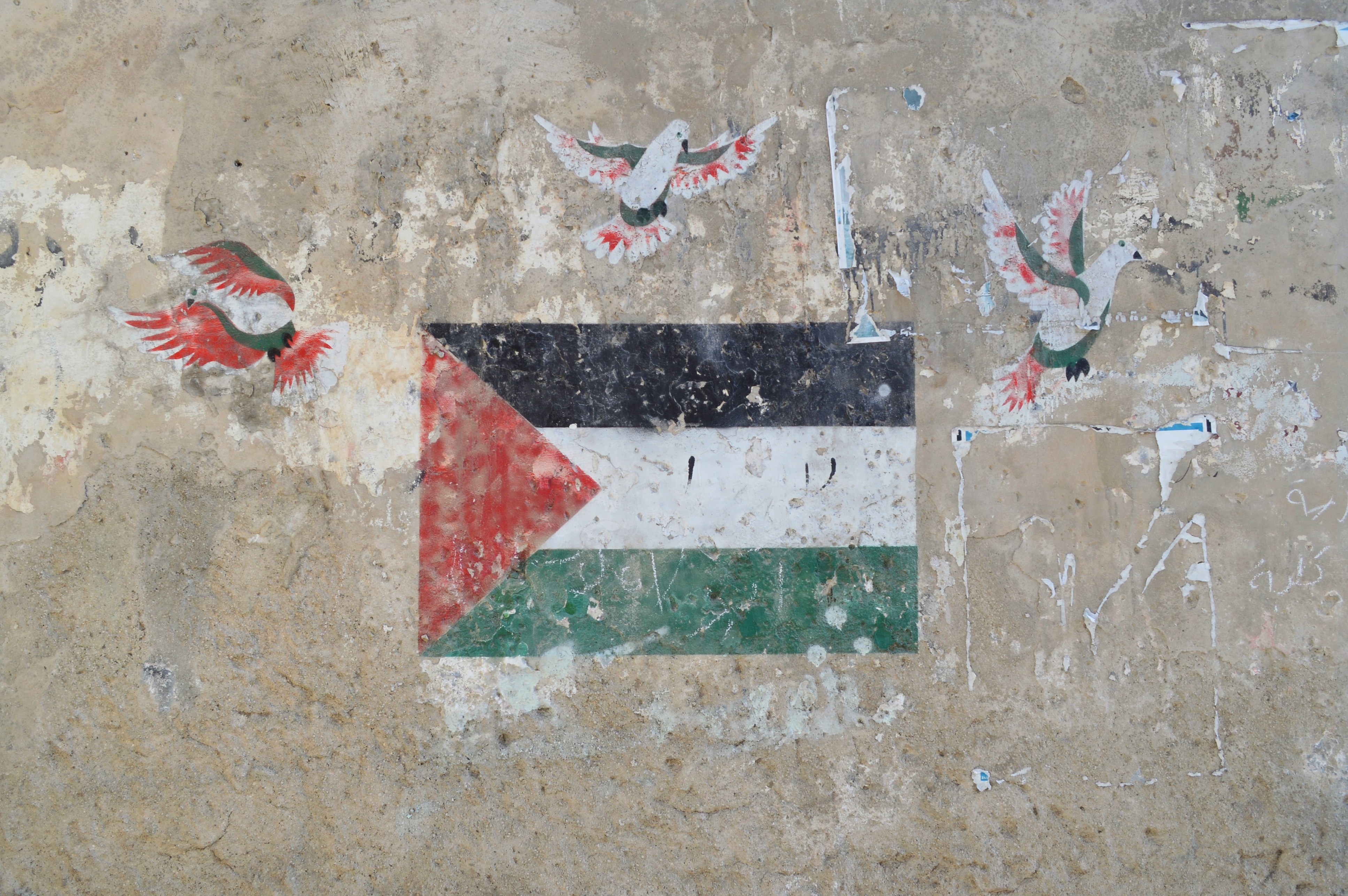 Festival Résurgence X - Conférence - "Les activistes de la paix en Israël et Palestine"