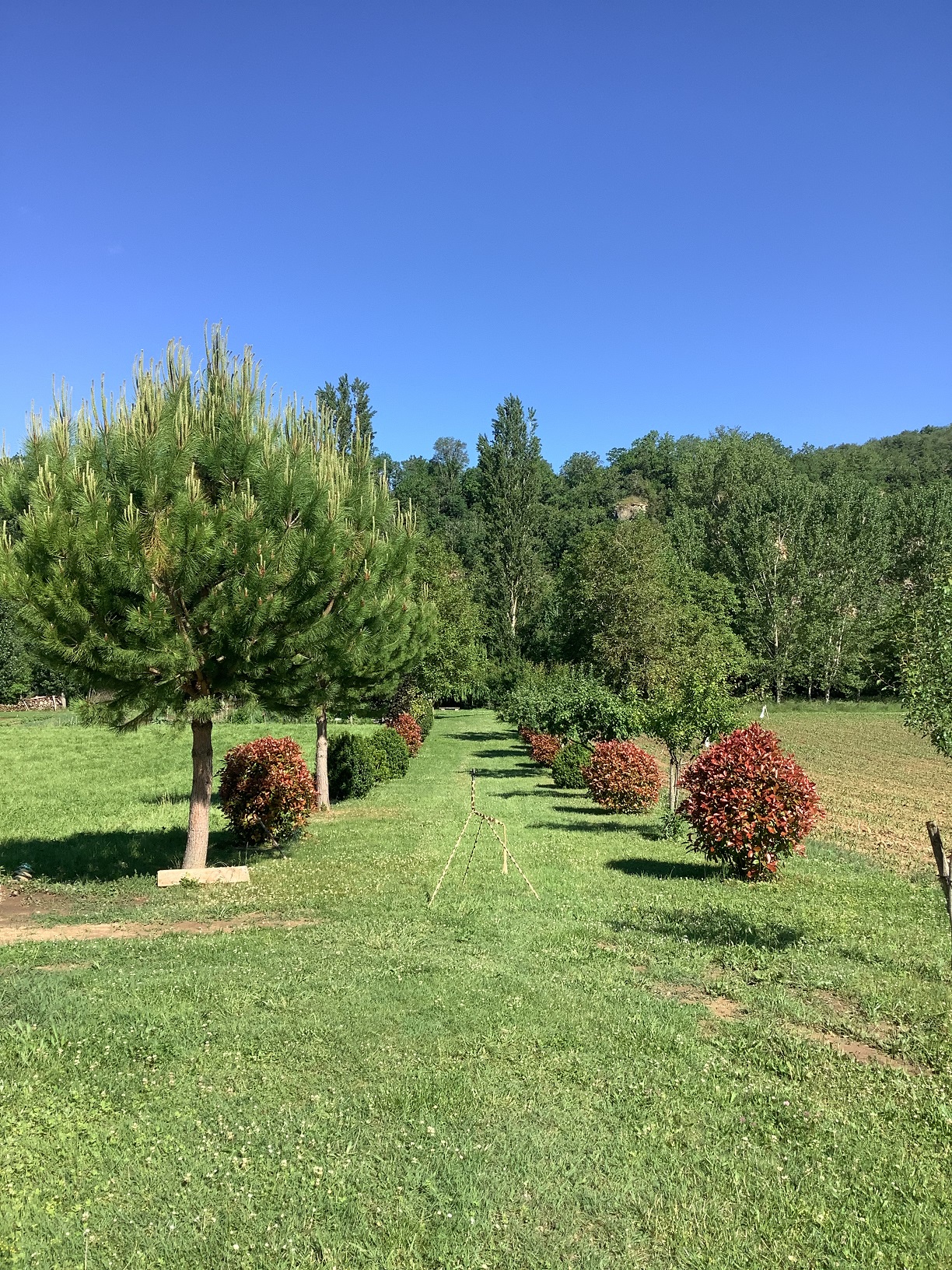 L' Astranou, Cénevières - photo 14