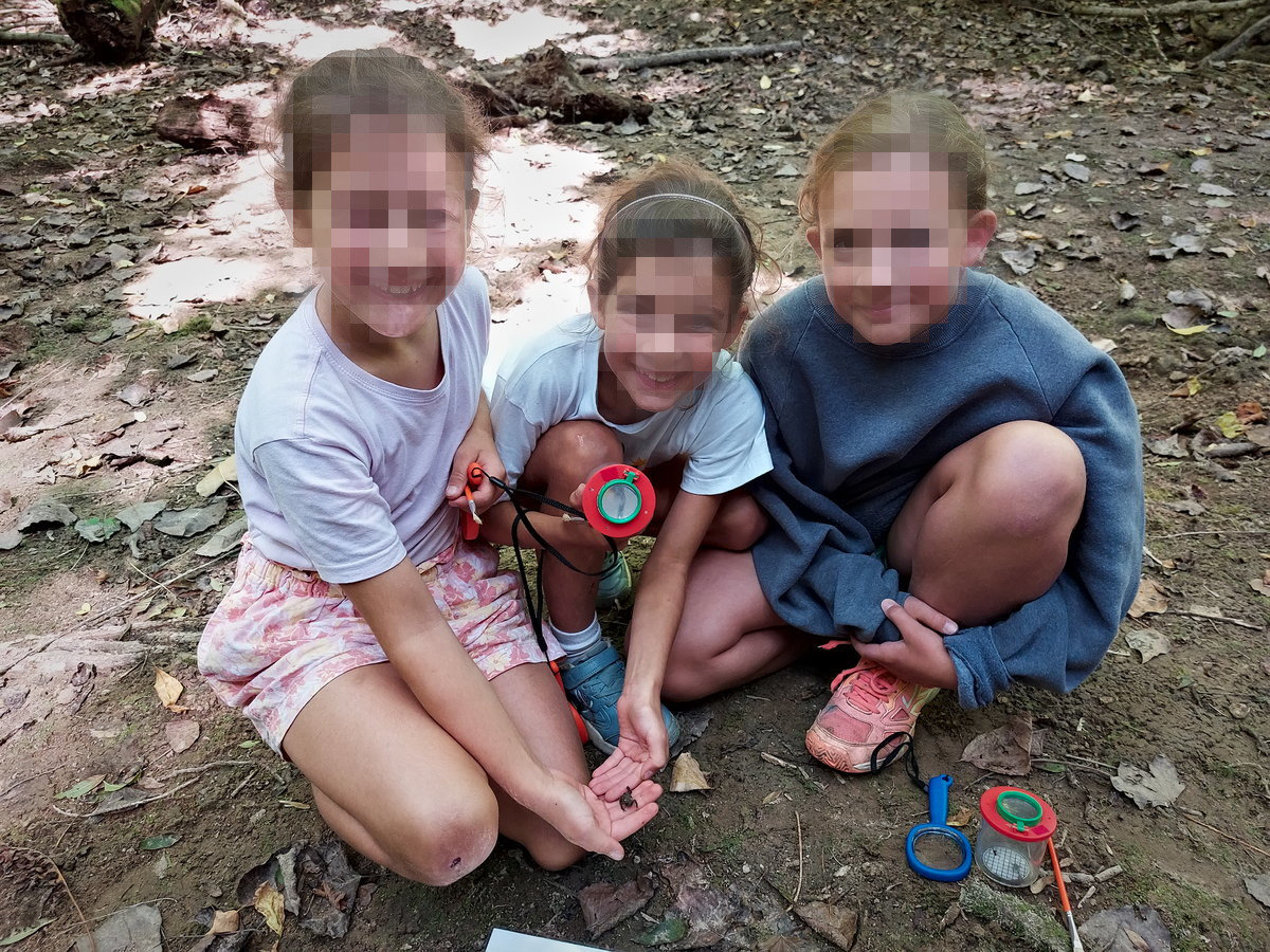 Activité nature les petites bêtes de la foret