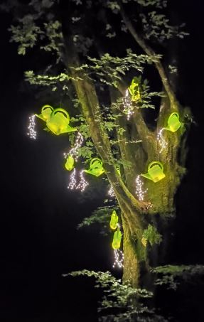 Nuit des Lumières à Autoire