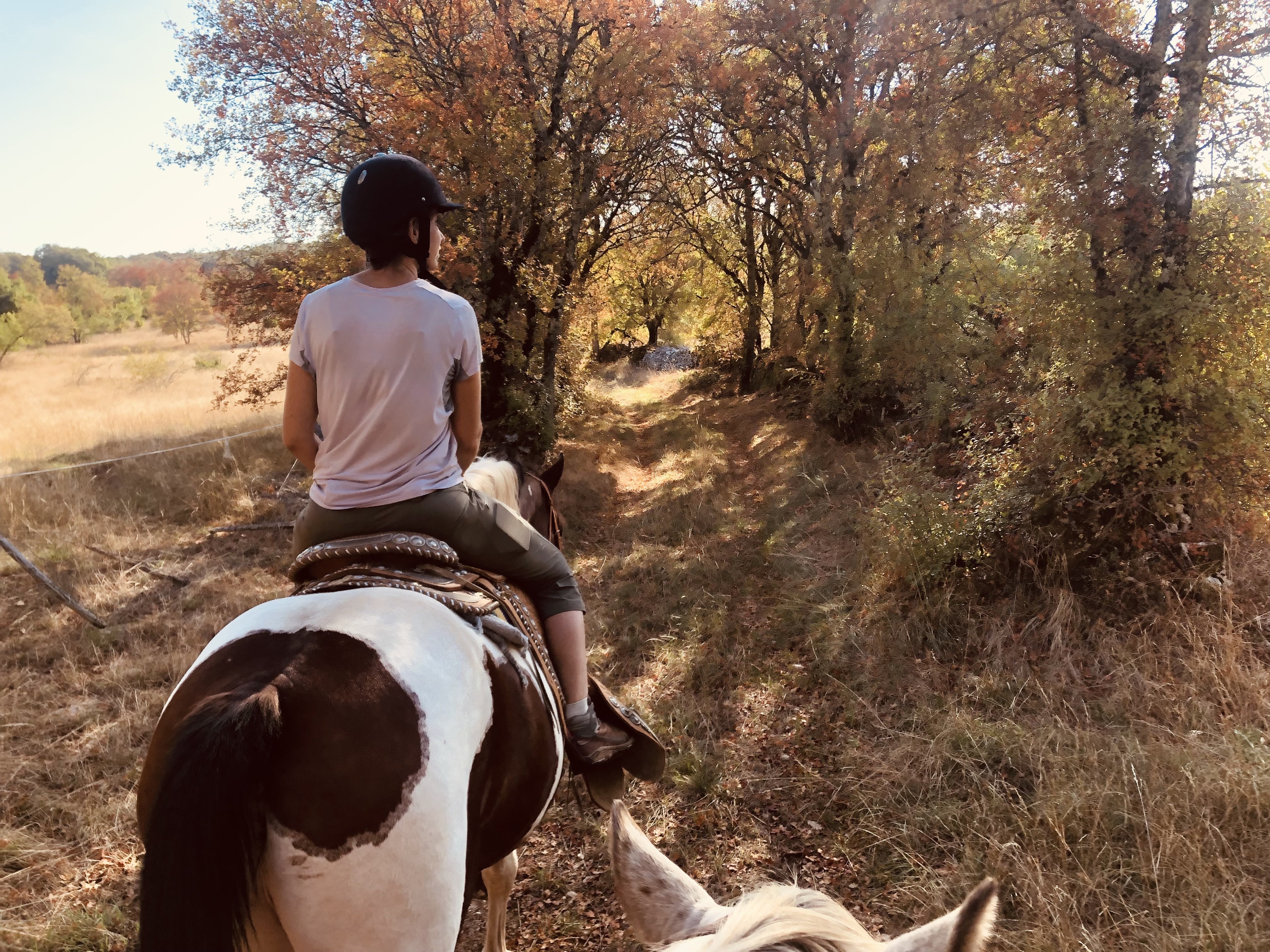 Westone Family's Ranch, Sénaillac-Lauzès - photo 4