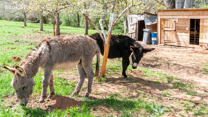 Le Bancarel, Frayssinet-le-Gélat - photo 9