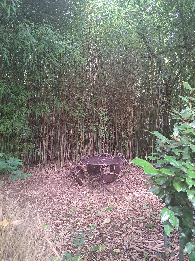 Le Bancarel, Frayssinet-le-Gélat - photo 11