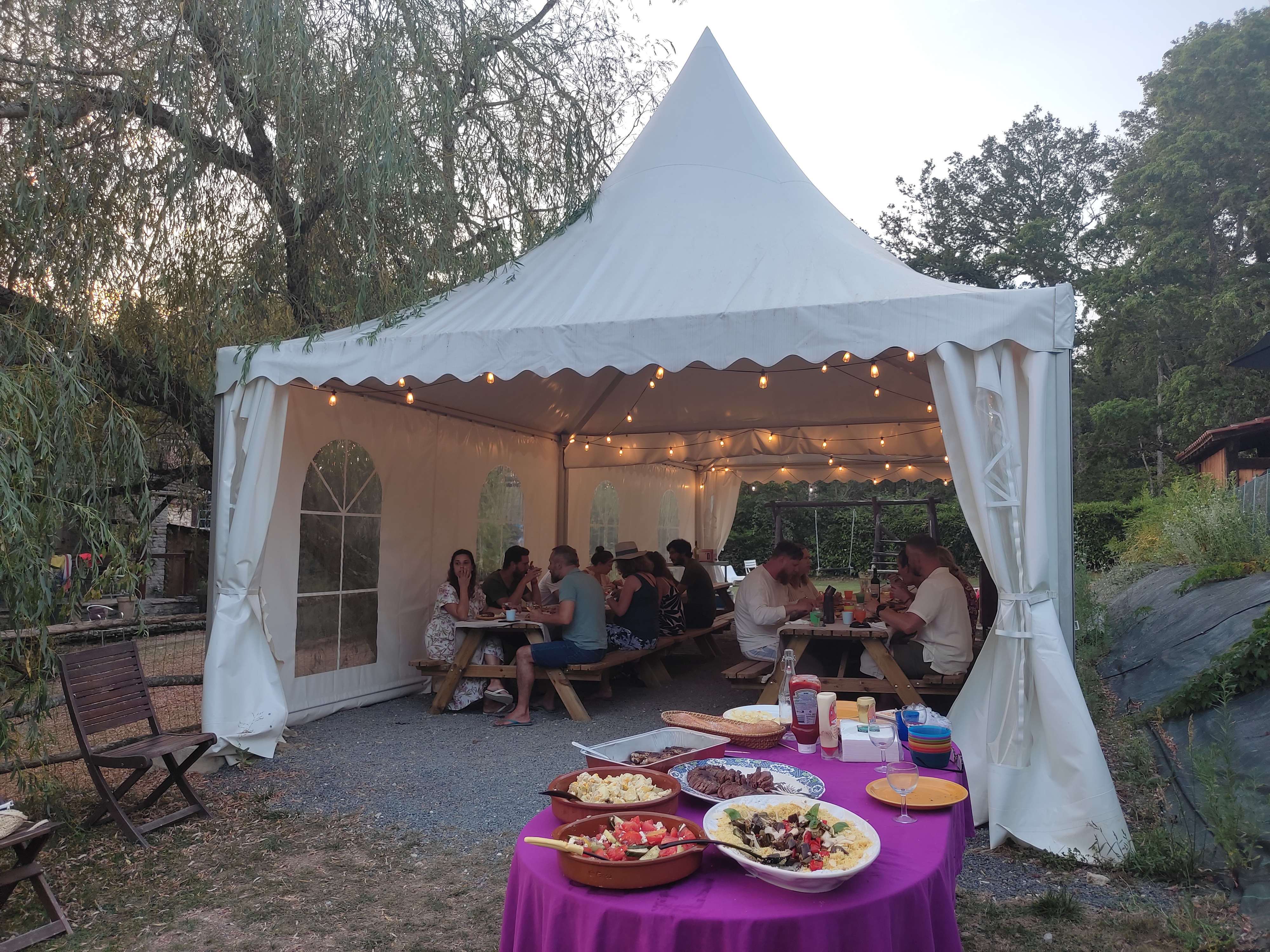 Pagel, Catus - photo 11