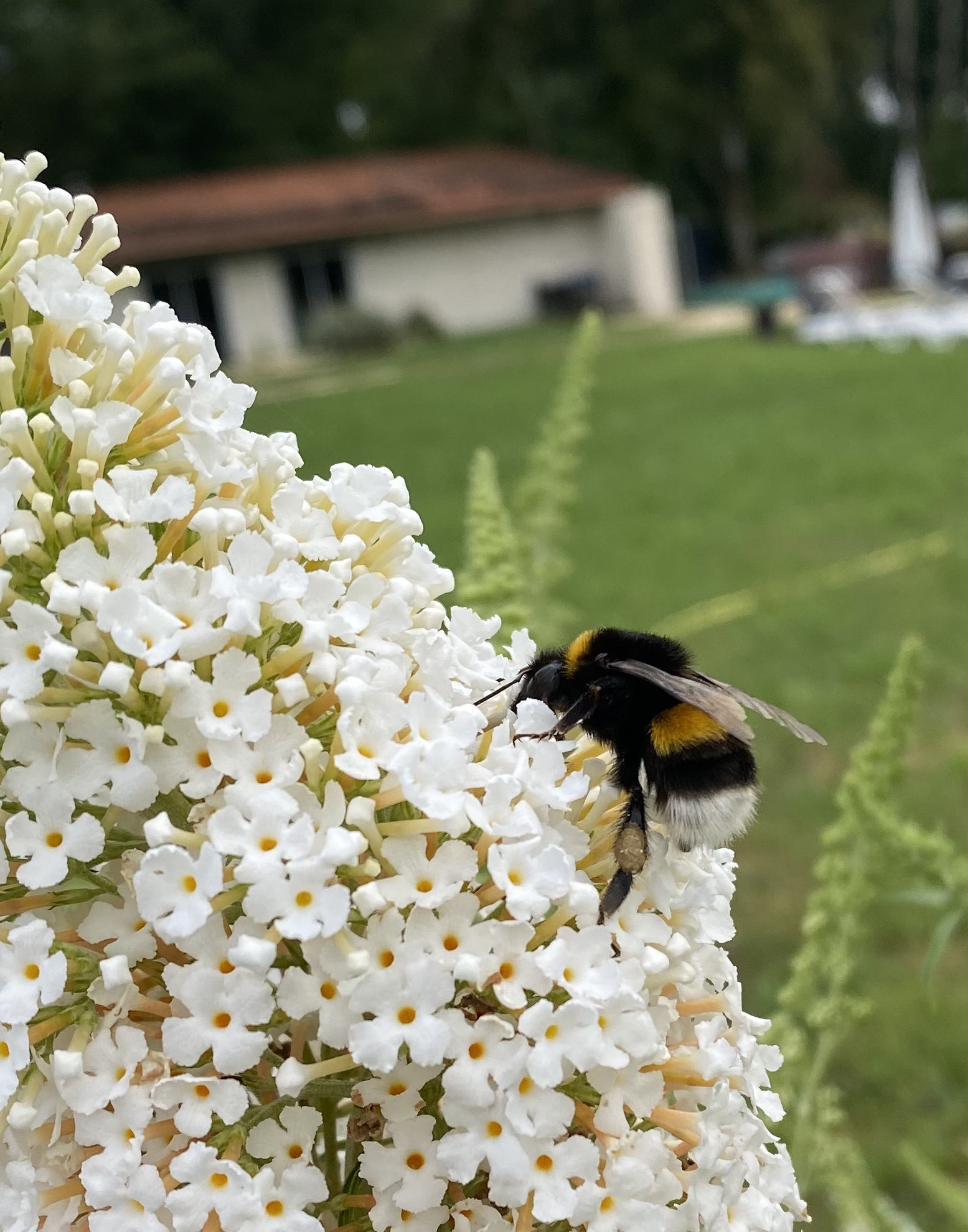 Gîte La Bergerie, Duravel - photo 22