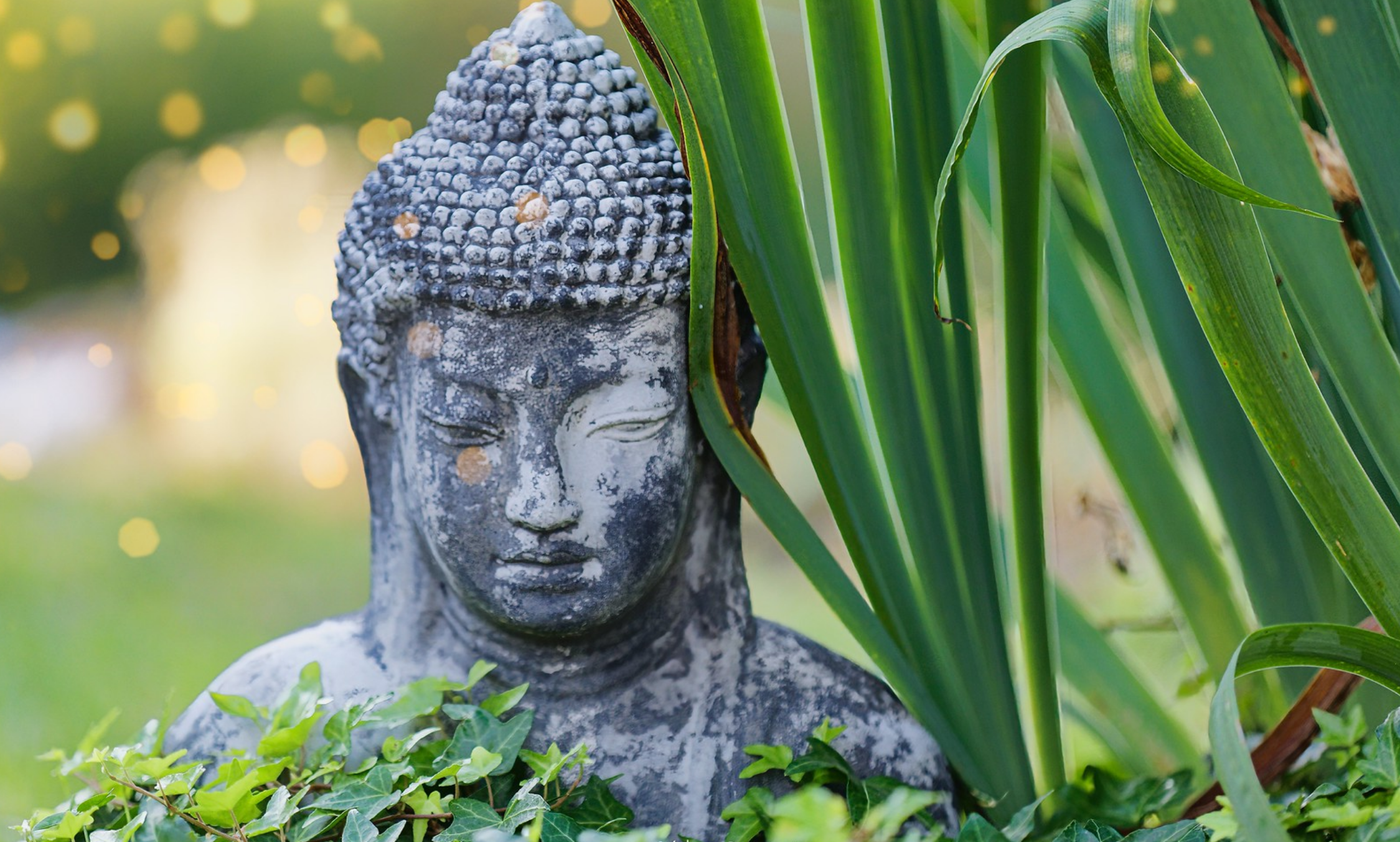 Les Mésanges, Ginouillac - photo 11