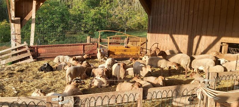 Ferme Pédagogique du Massarrat