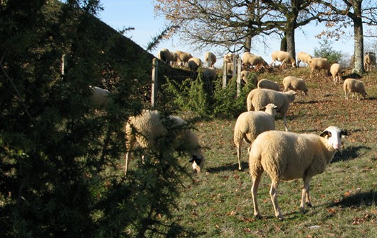 Ferme de Tartayrou