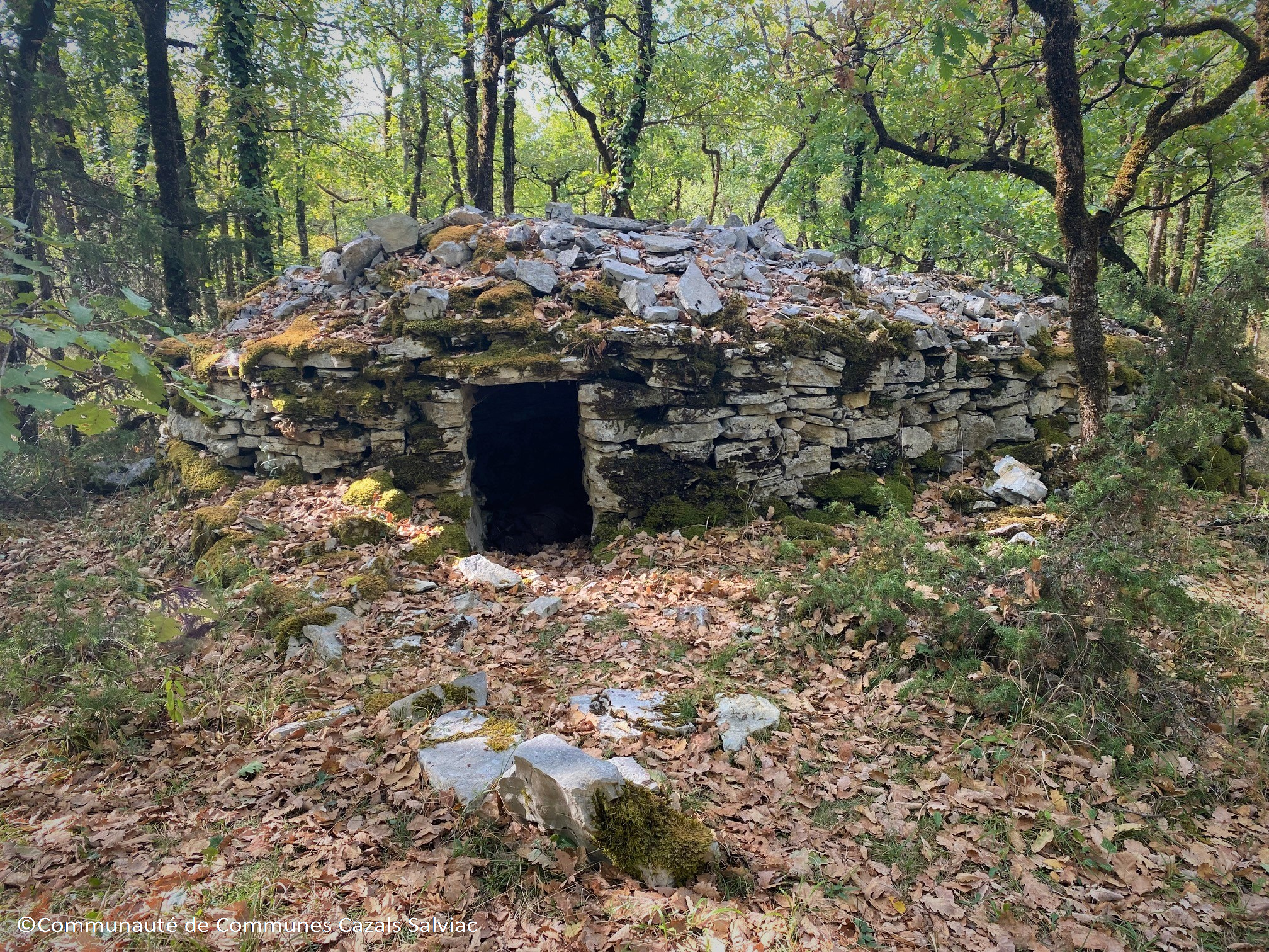 Long nord, Salviac - photo 3