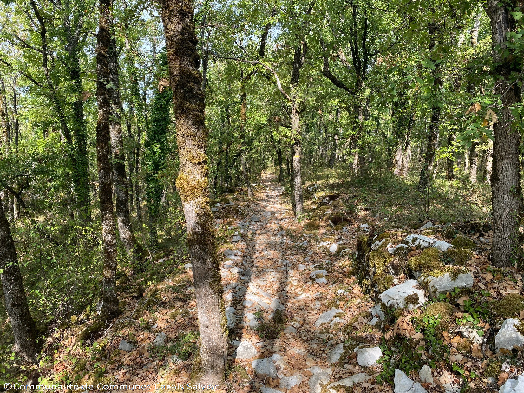 Trésors du Causse, Salviac - photo 5