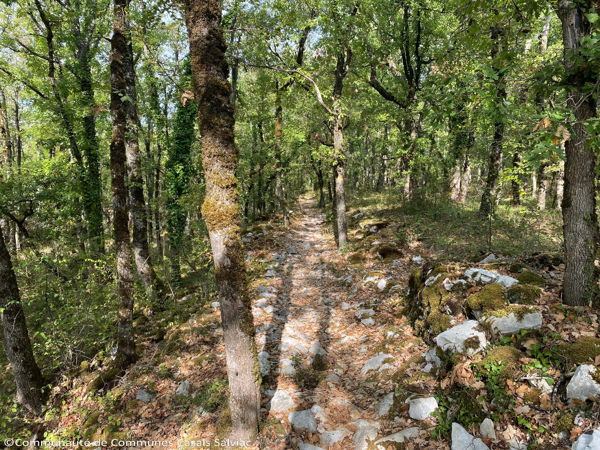 Long nord, Salviac - photo 5