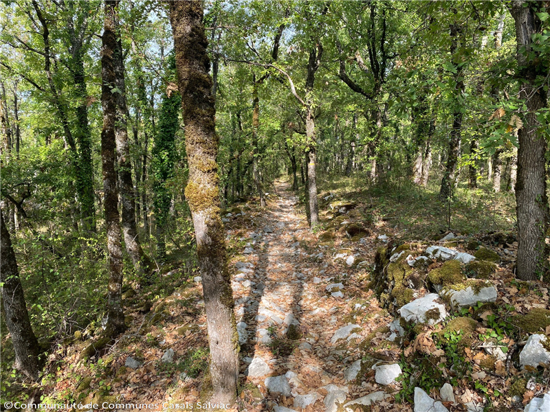 Sentier Pech Curet - Salviac