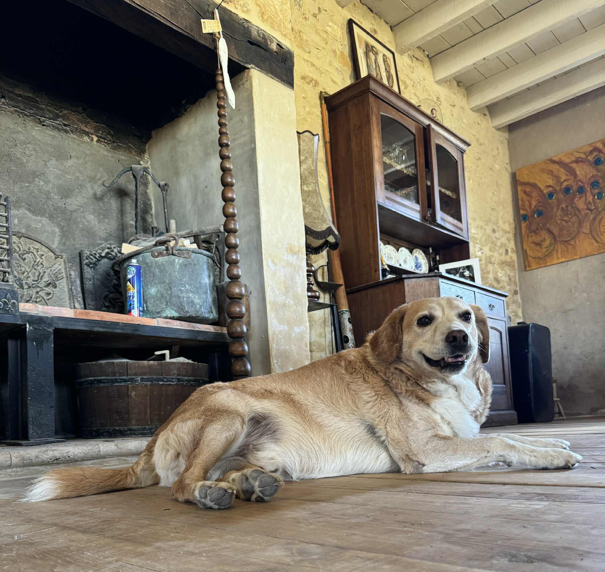 La maison Tête de Bois, Milhac - photo 15
