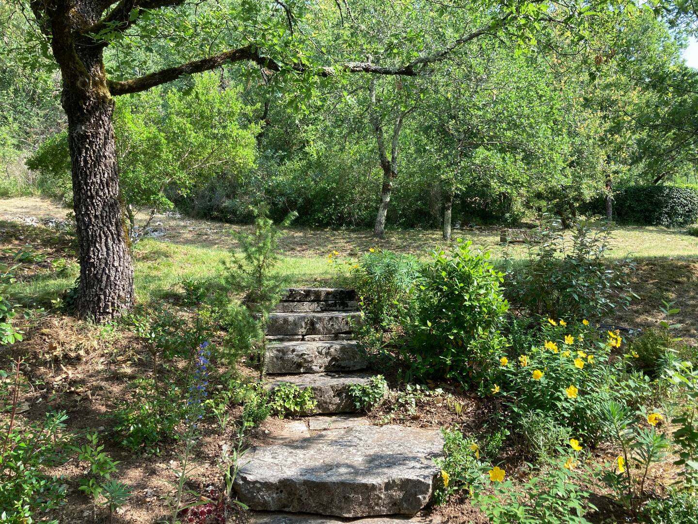 Le gîte du Mas de Doucet, Montbrun - photo 14