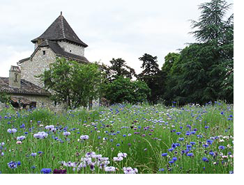 Château Vent d'Autan