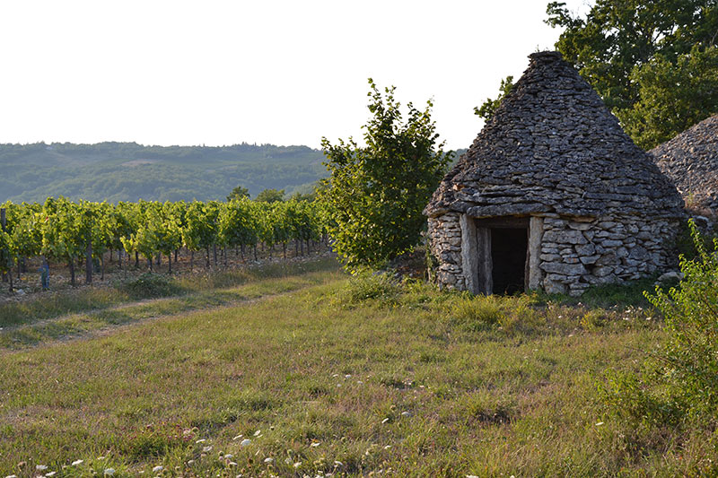 Domaine Campoy