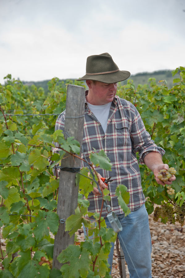Domaine Campoy