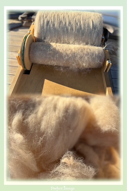 Les Alpacas de Fons, Fons - photo 5