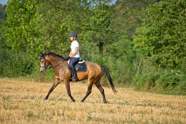 Rallye équestre de Salviac