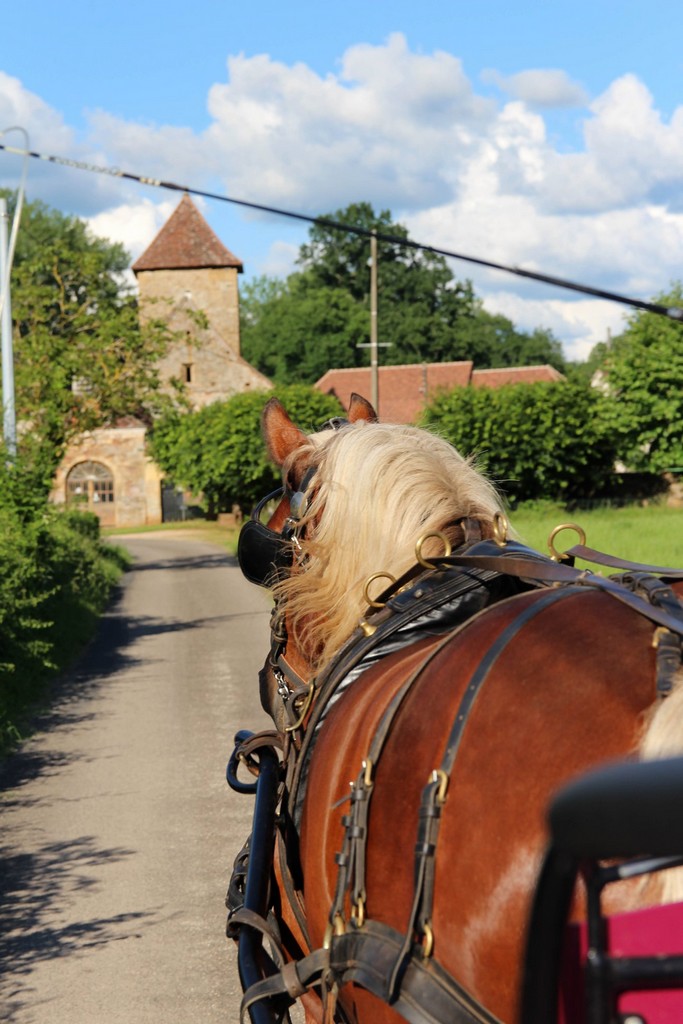 Les Calèches de Céline, Bétaille - photo 5
