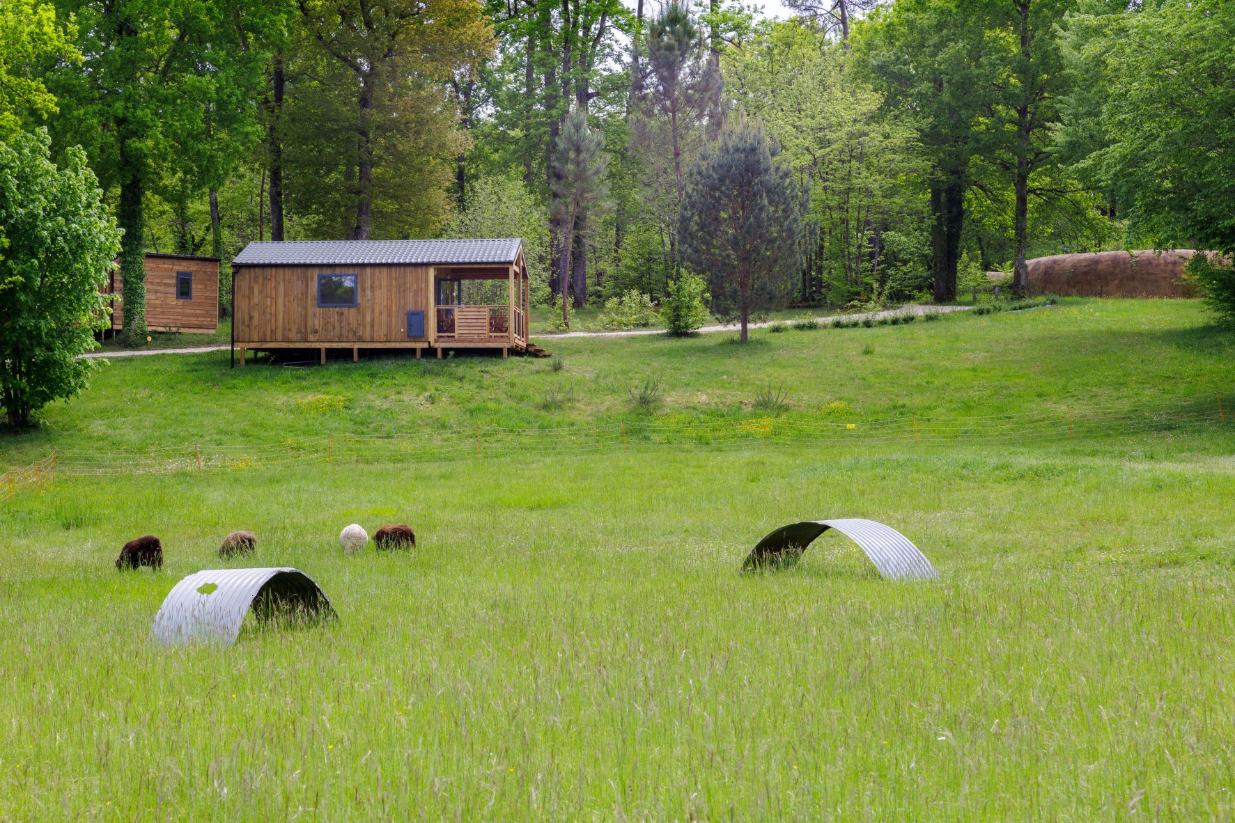 Camping La Clairière écolieu de vacances, Lamothe-Fénelon - photo 4