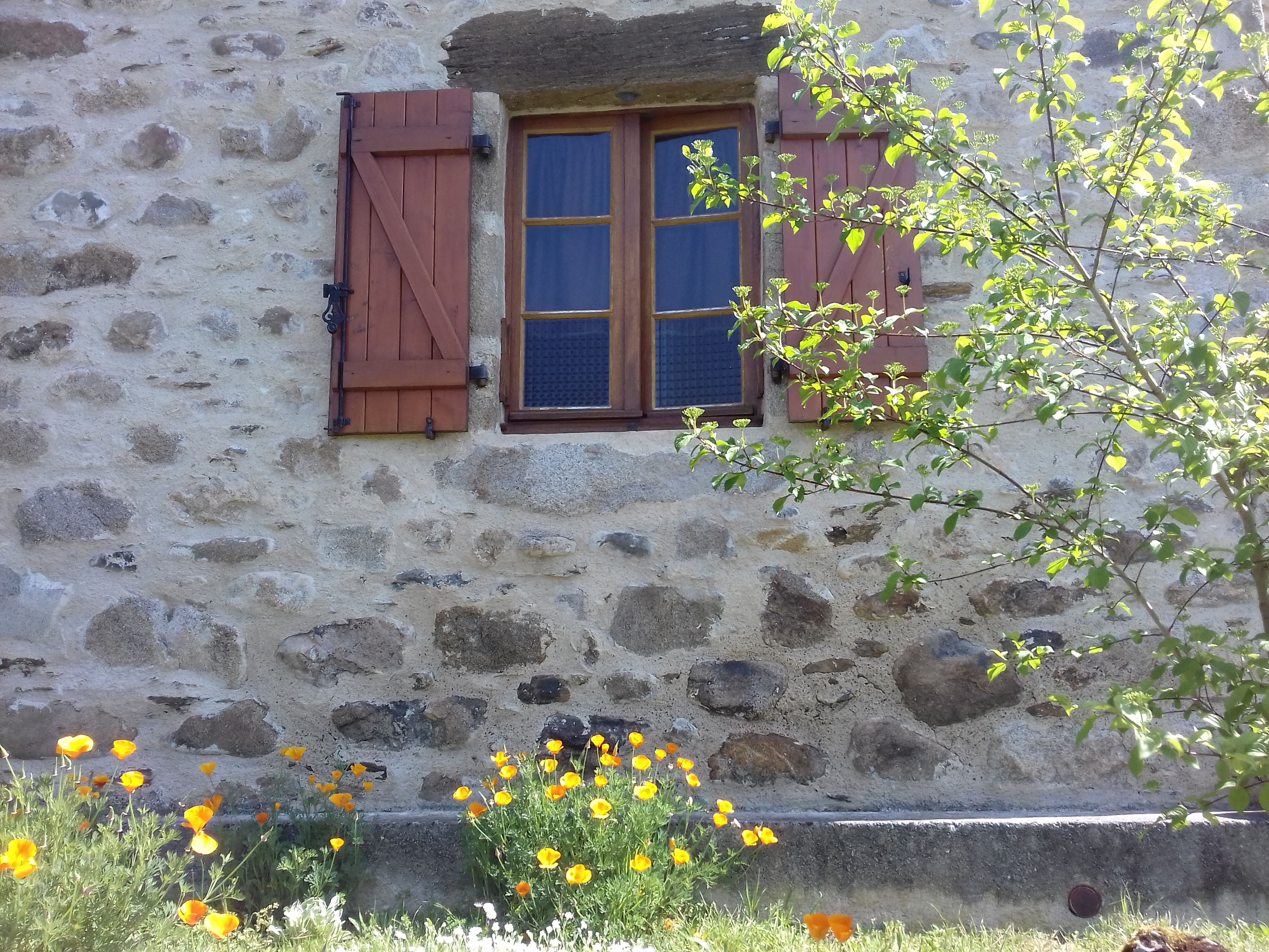Chez Claire, à Latouille, Latouille-Lentillac - photo 9