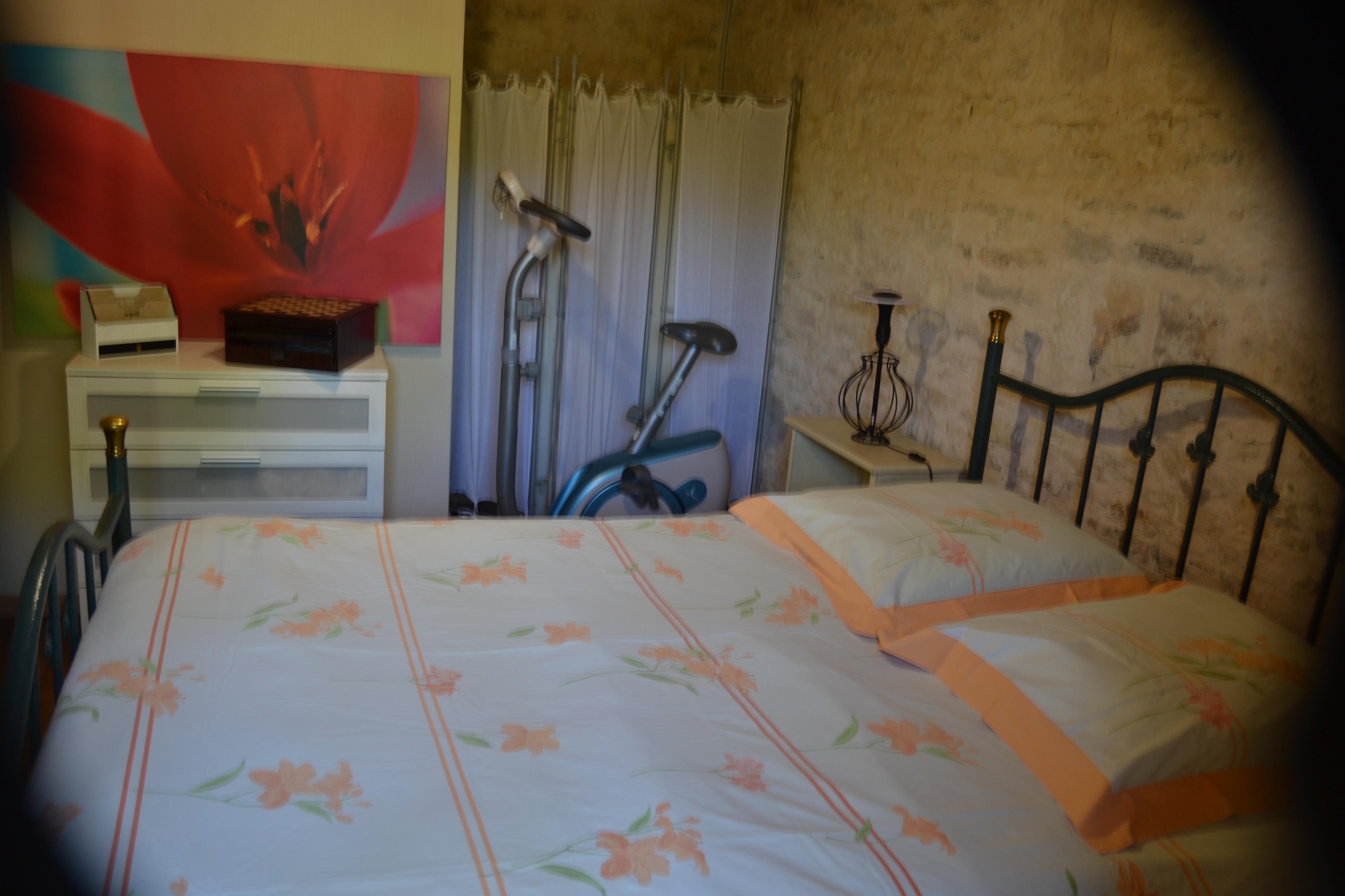 Les Vignes Hautes, Thédirac - photo 10