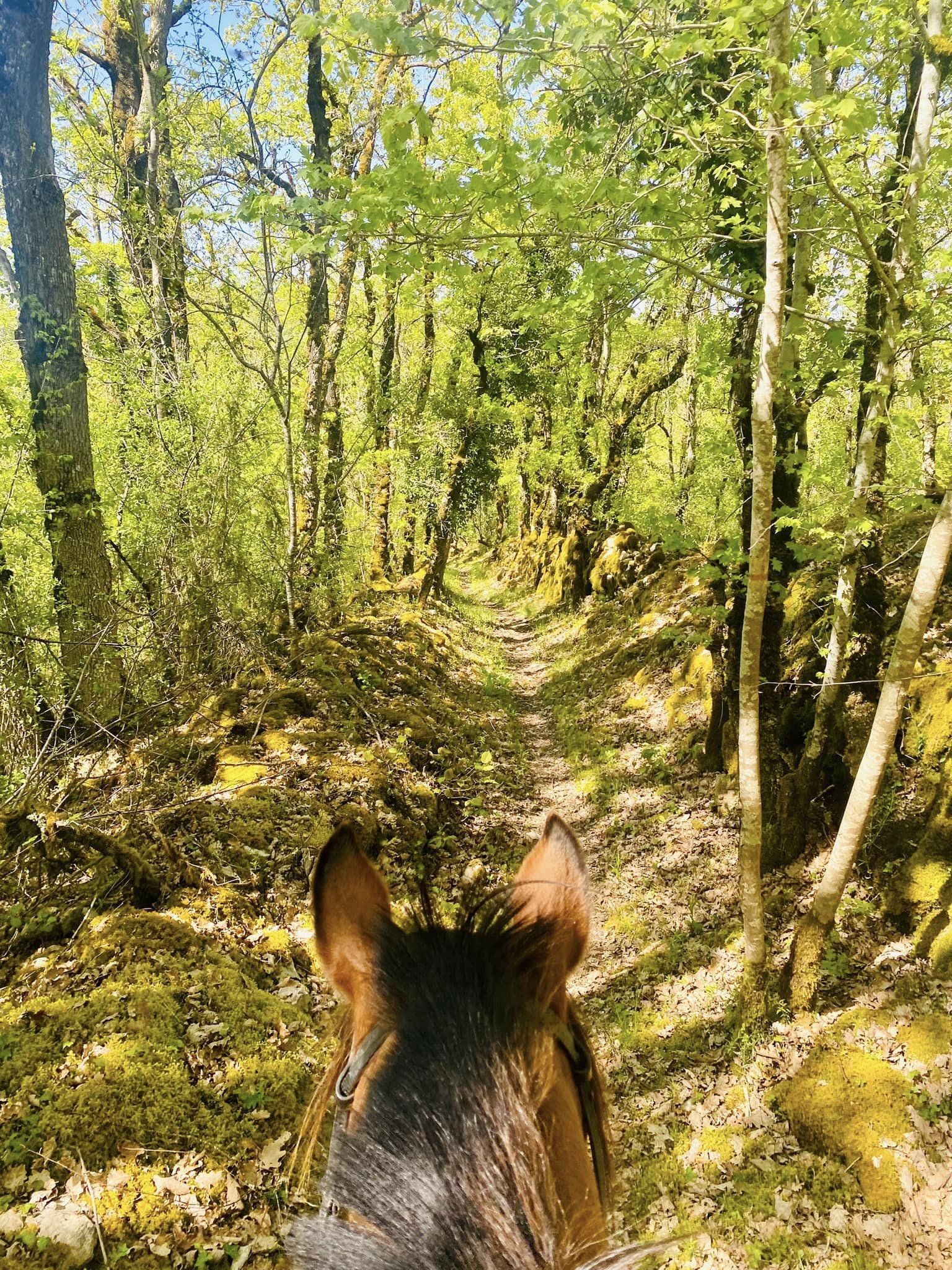 Equi Aventure, Salviac - photo 7