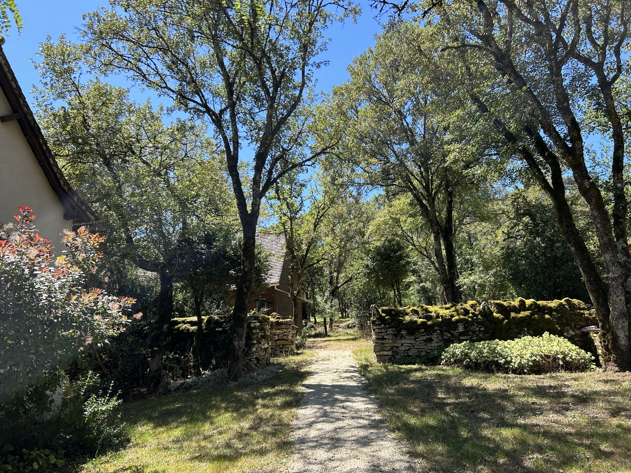 Gîte Noah avec spa privatif - Domaine de la Claire Fontaine, Montvalent - photo 3