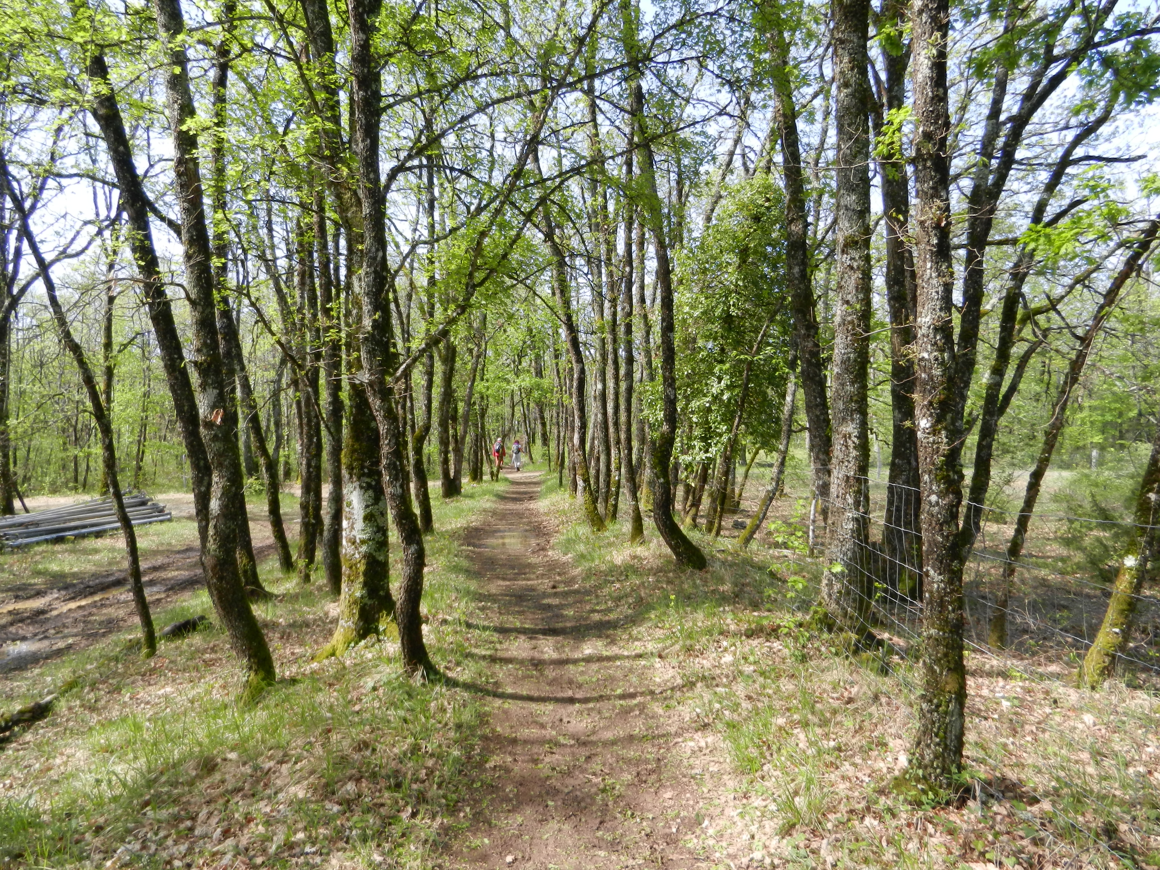 Gite de Paillas, Lalbenque - photo 9
