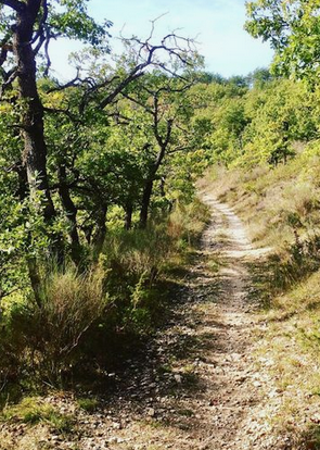 Domaine la Balme - Grand Gîte avec piscine privée, Peyrilles - photo 18