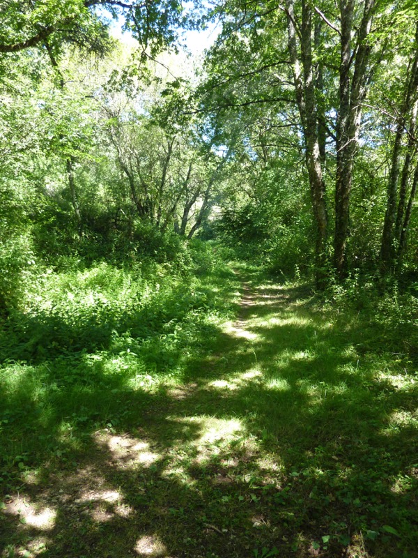 Sentier des argiles - Cambes