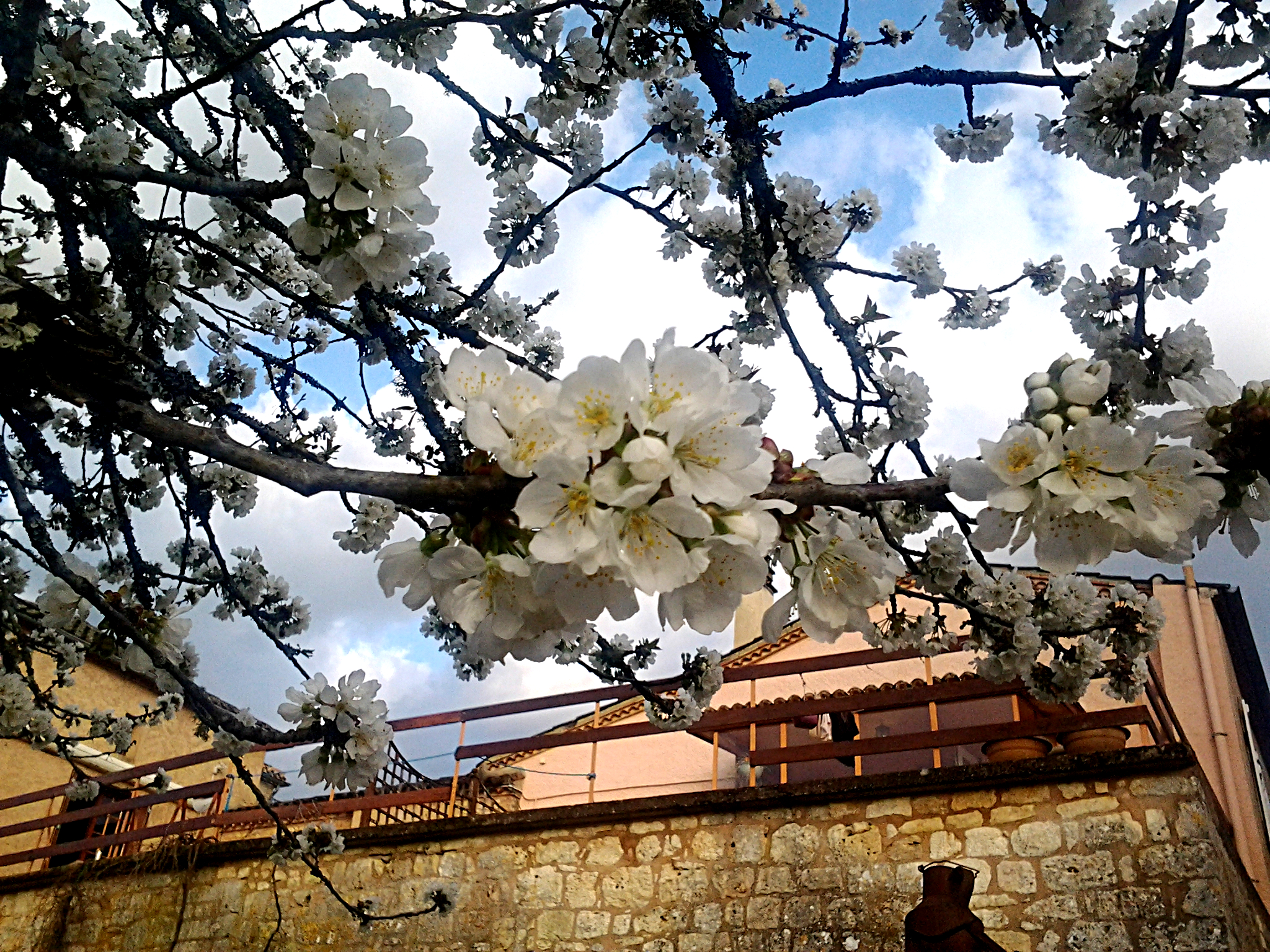 Atelier de la Rose, Montcabrier - photo 6
