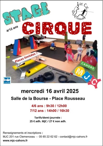 Stage de cirque à la MJC