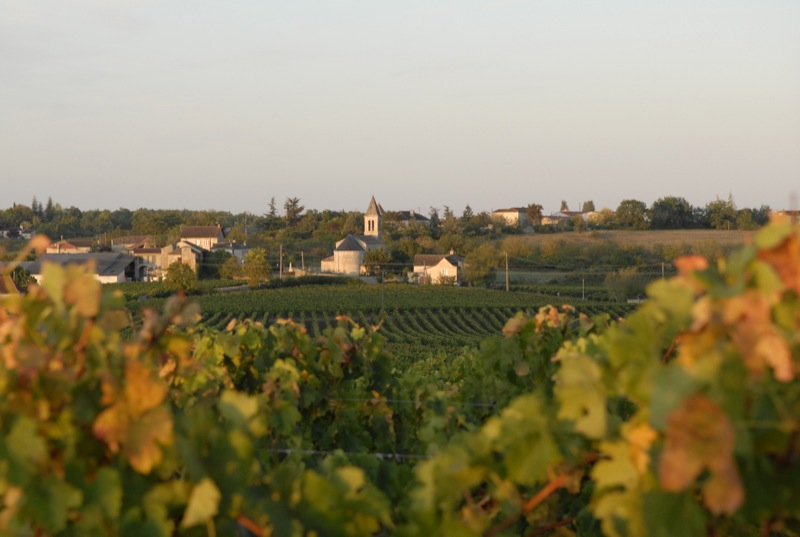 Clos de Pougette — photo 2