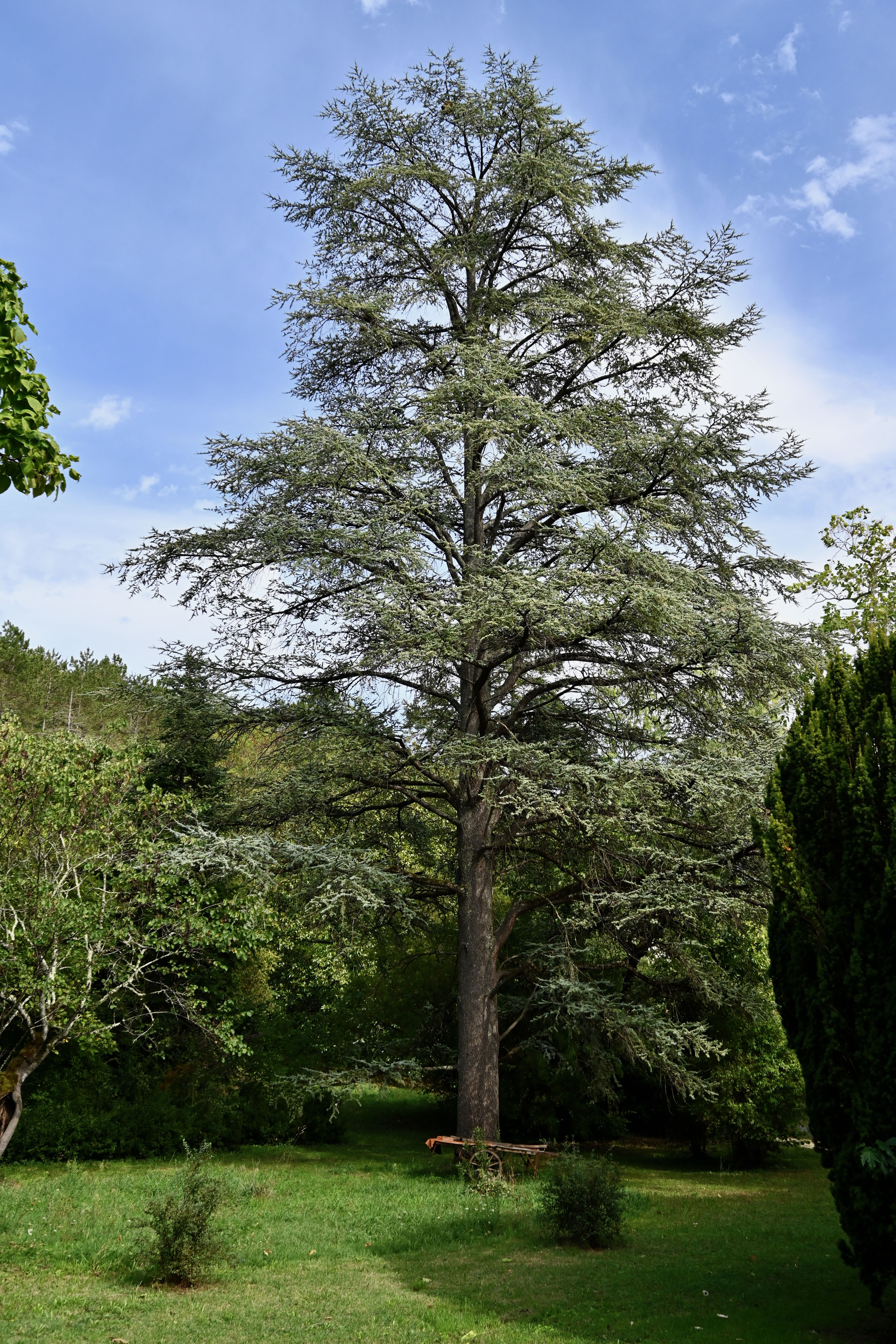 L'Olié, Saint-Céré - photo 14