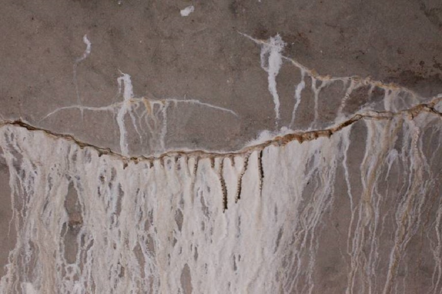 REPORTEE Journée du patrimoine "Balade artistique sur le thème de l’eau" écomusée de Cuzals