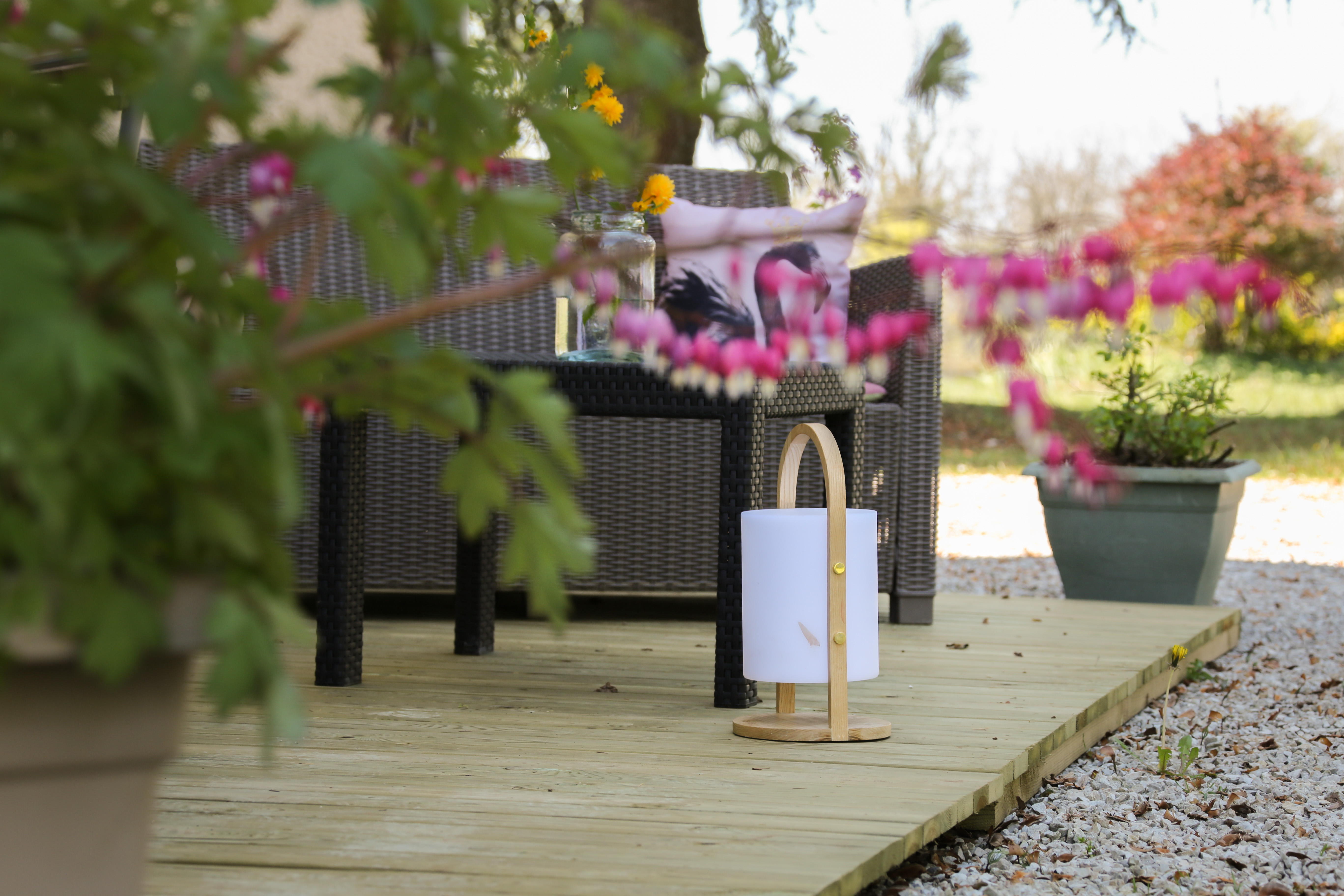 Domaine de Bel air - La Fromagerie, Le Bastit - photo 25