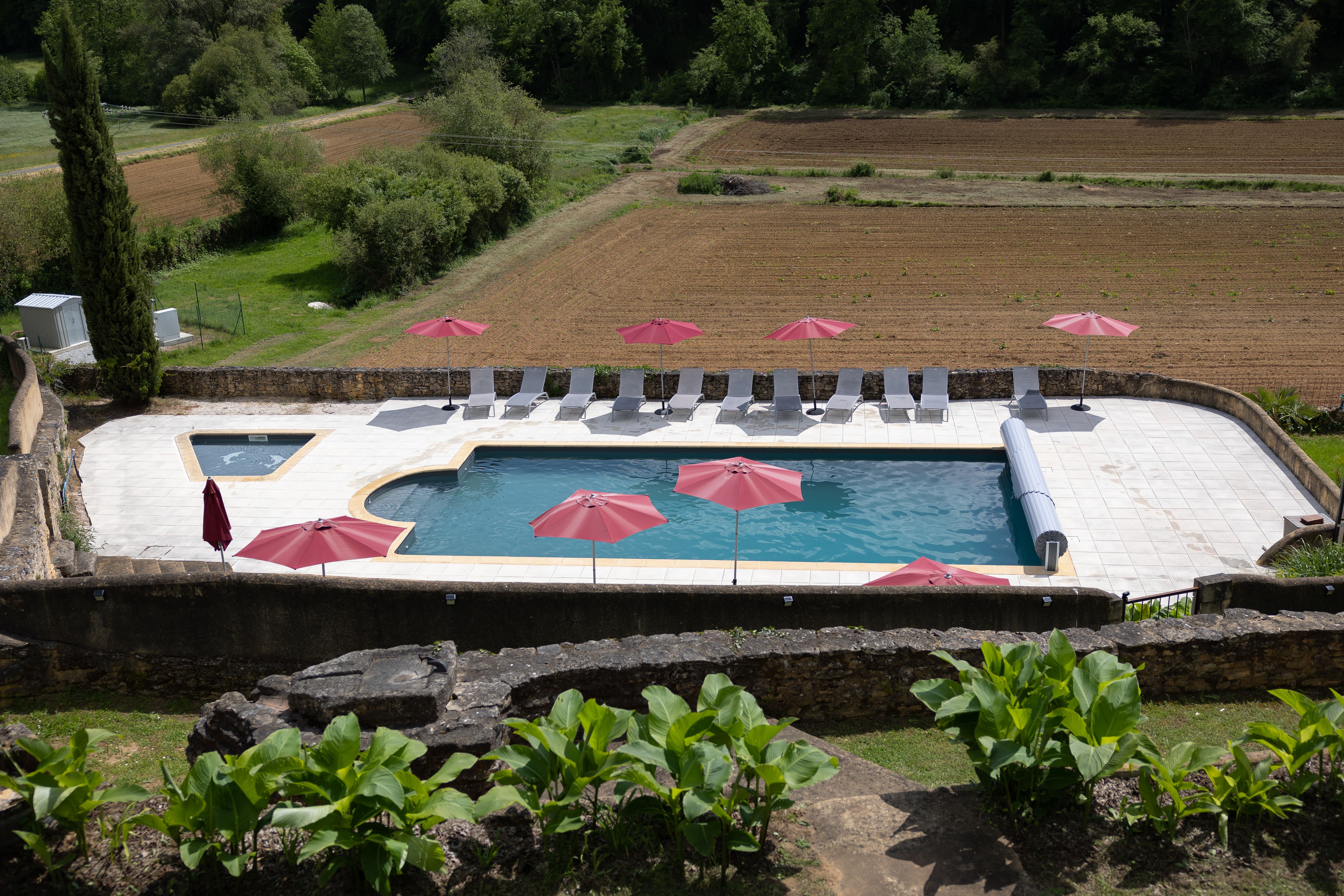 Domaine Les Maurelles :  Platane