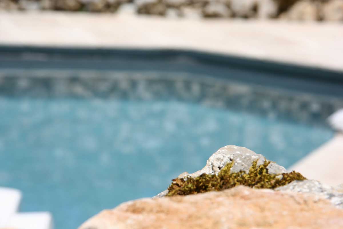 Les gîtes du Mas d'Aspech - La Tuile à Loups, Belmont-Sainte-Foi - photo 7