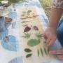 ecoprint