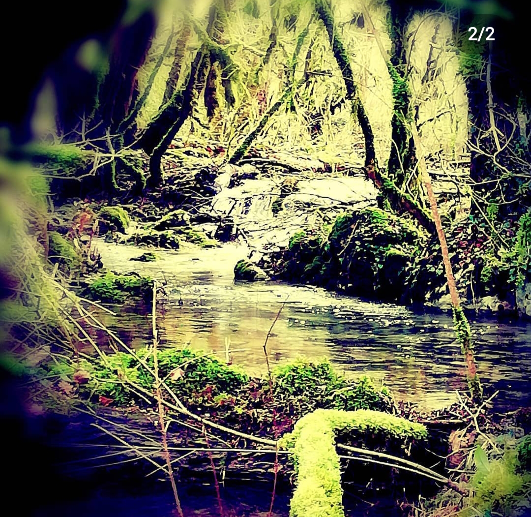 L'Etoile de Zakiel, Cambayrac - photo 33