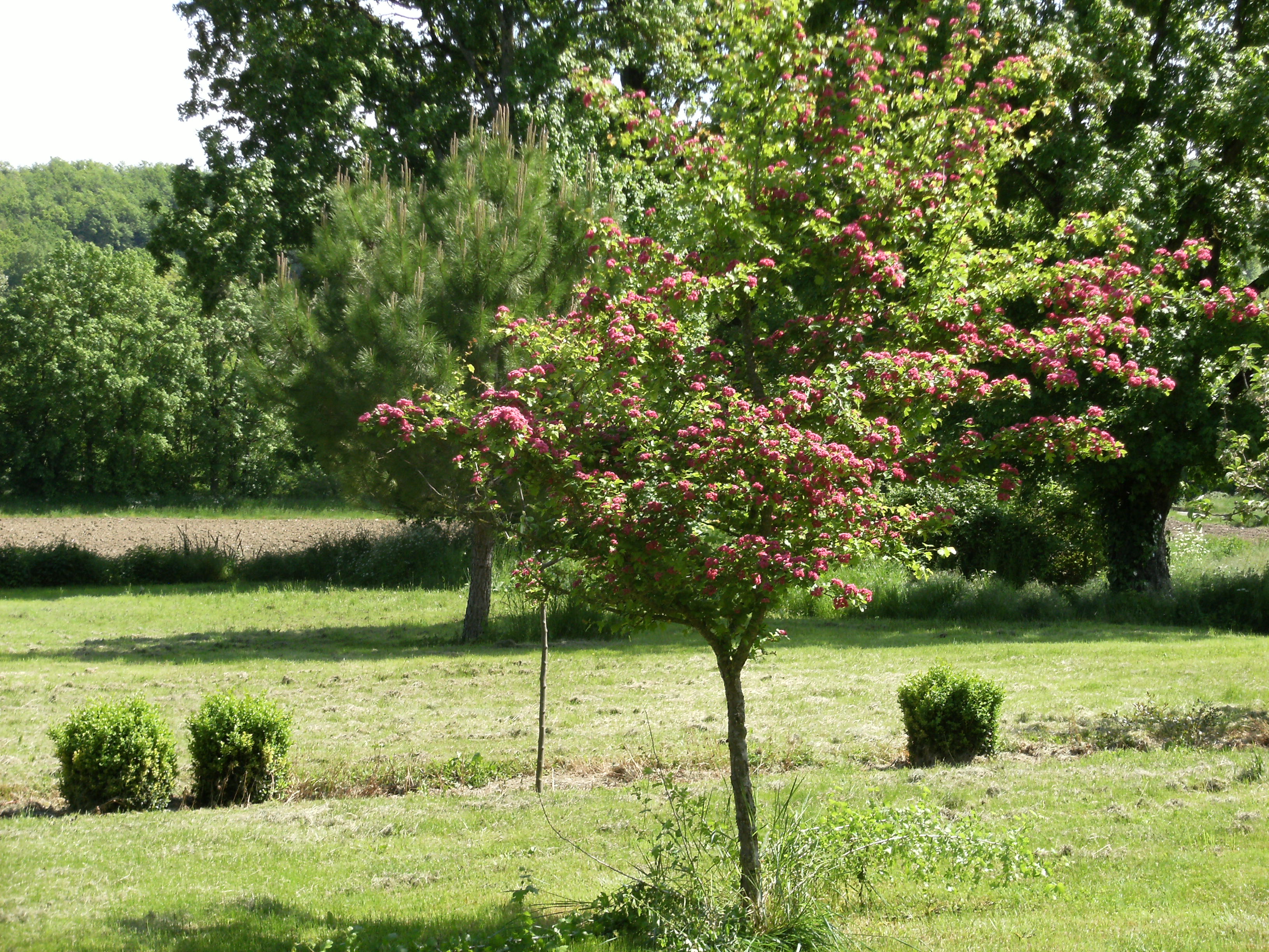 Le Moulin de Loys, Lendou-en-Quercy - photo 26