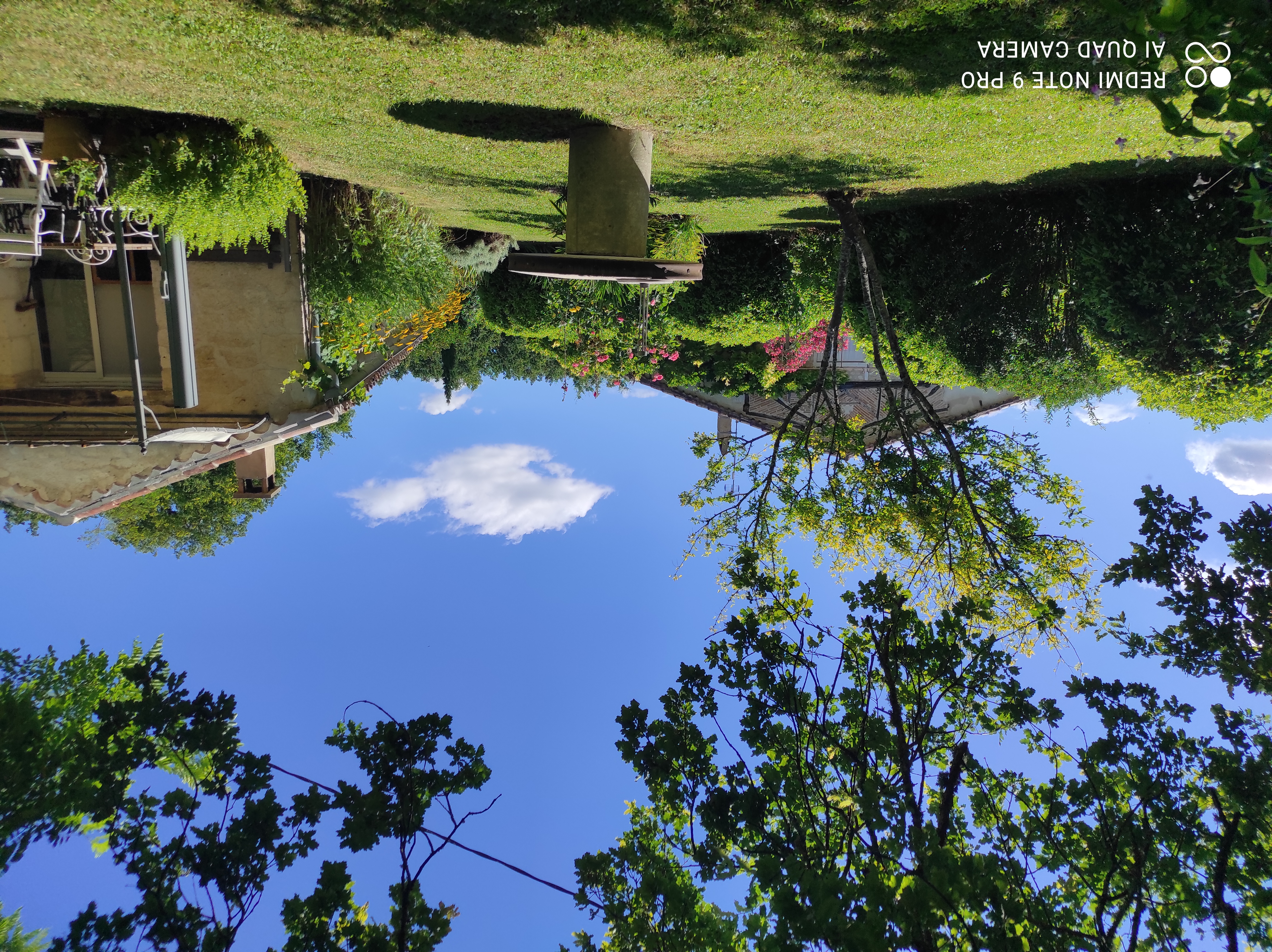 Pech de Frapy, Castelnau Montratier-Sainte Alauzie - photo 8
