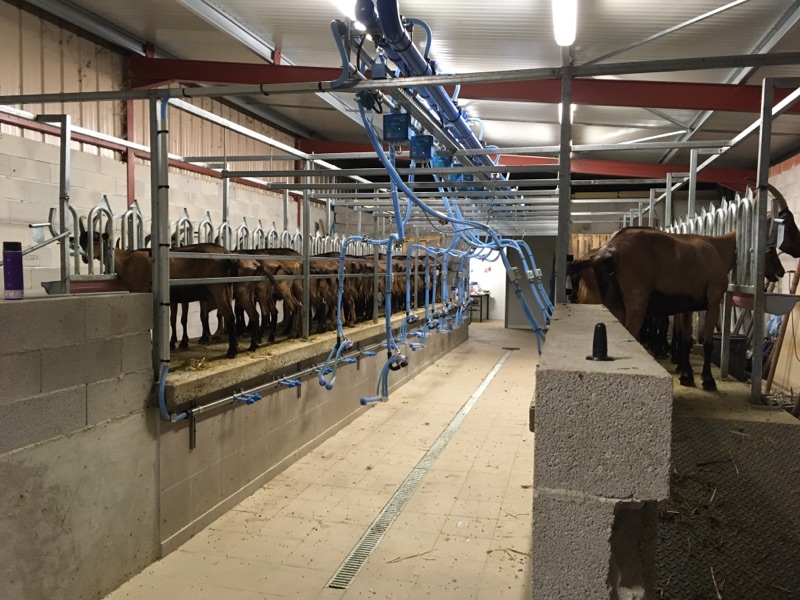 Ferme de Létou — photo 3