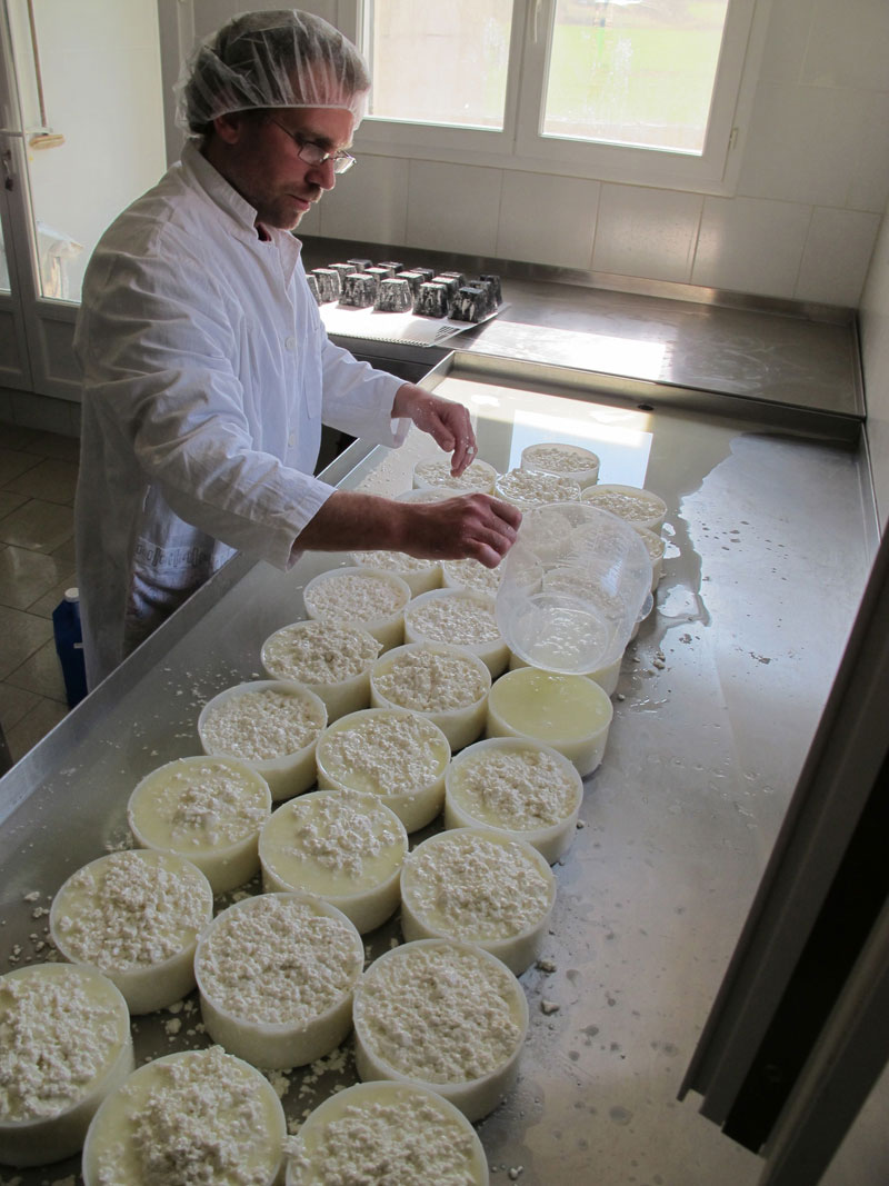 Ferme des Gariottes — photo 3