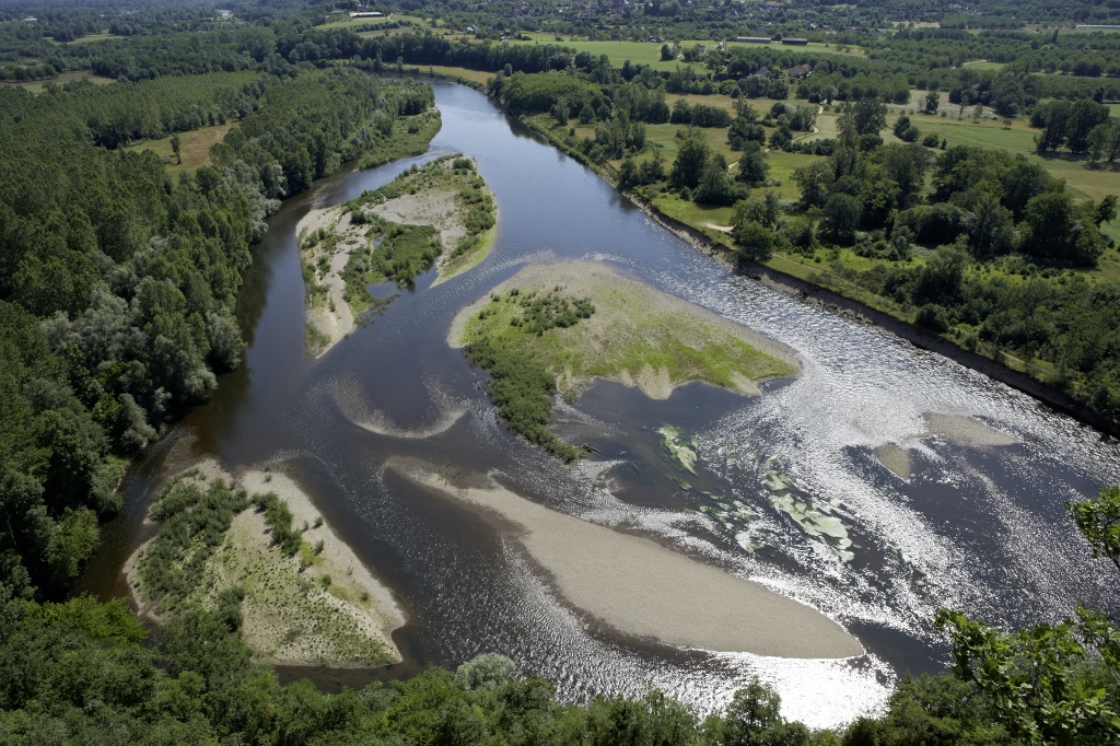 Animation Les plantes voyageuses