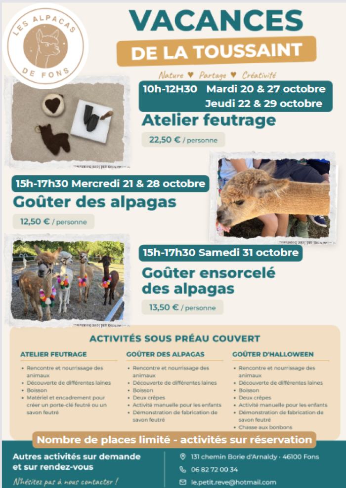 Ateliers feutrage à la ferme des Alpacas de Fons