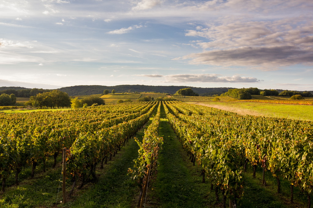 Domaine Lapopie, Saint-Cirq-Lapopie - photo 13